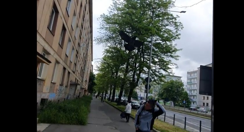 Zdjęcie Robert Kotecki - fotografia