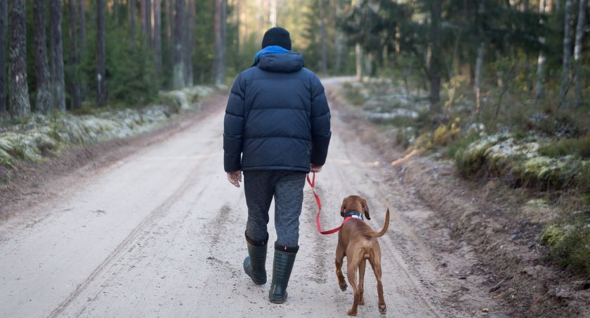 Zakaz wejścia do Karkonoskiego Parku Narodowego z psem z powodu okresu rozrodczego