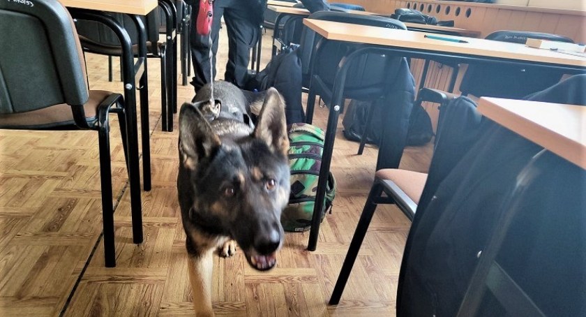 Policja z psem służbowym zawitała do Zespołu Szkół Logistycznych przy ulicy Dawida - fot. KMP Wrocław