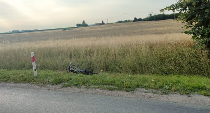 Samochód potracił dzika, dzik potrącił rowerzystkę. Poszkodowana kobieta trafiła do szpitala