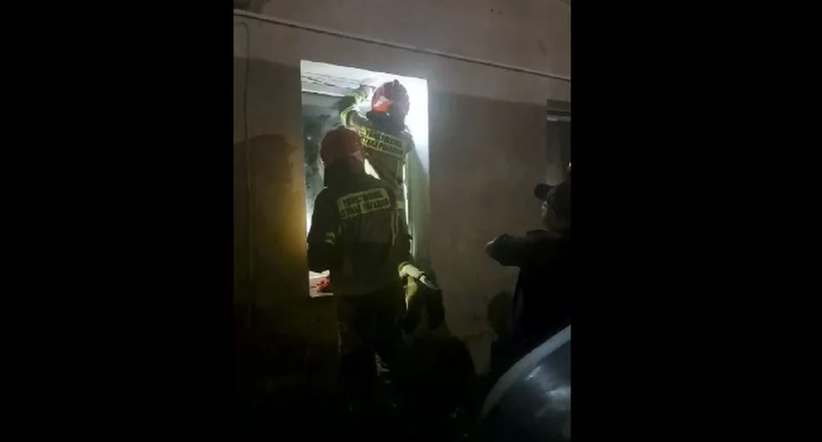 Interwencje, Właścicielka zostawiła swoje domowe zwierzęta opieki kilkanaście Interweniowały służby - zdjęcie, fotografia
