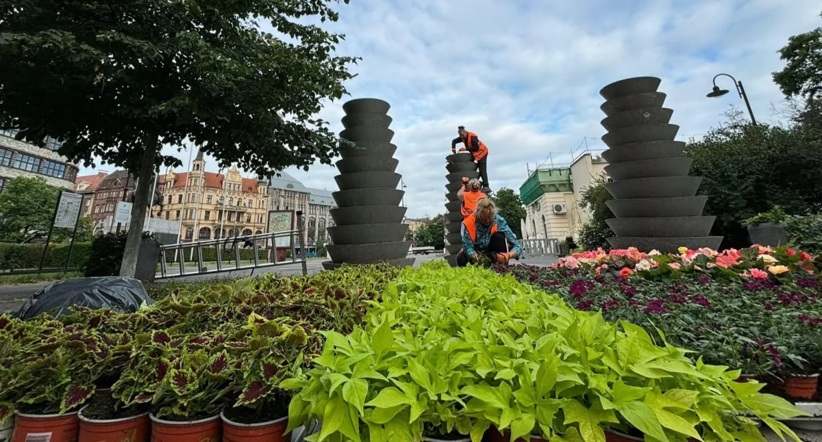 Miasto, Miasto rozkwitnie latem! Zarząd Zieleni Miejskiej ogłosił przetarg rośliny które upiększą miejską przestrzeń - zdjęcie, fotografia