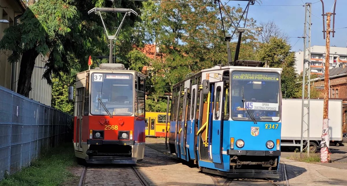 Wydarzenia, Wrocław świętuje tramwajów Konstal - zdjęcie, fotografia