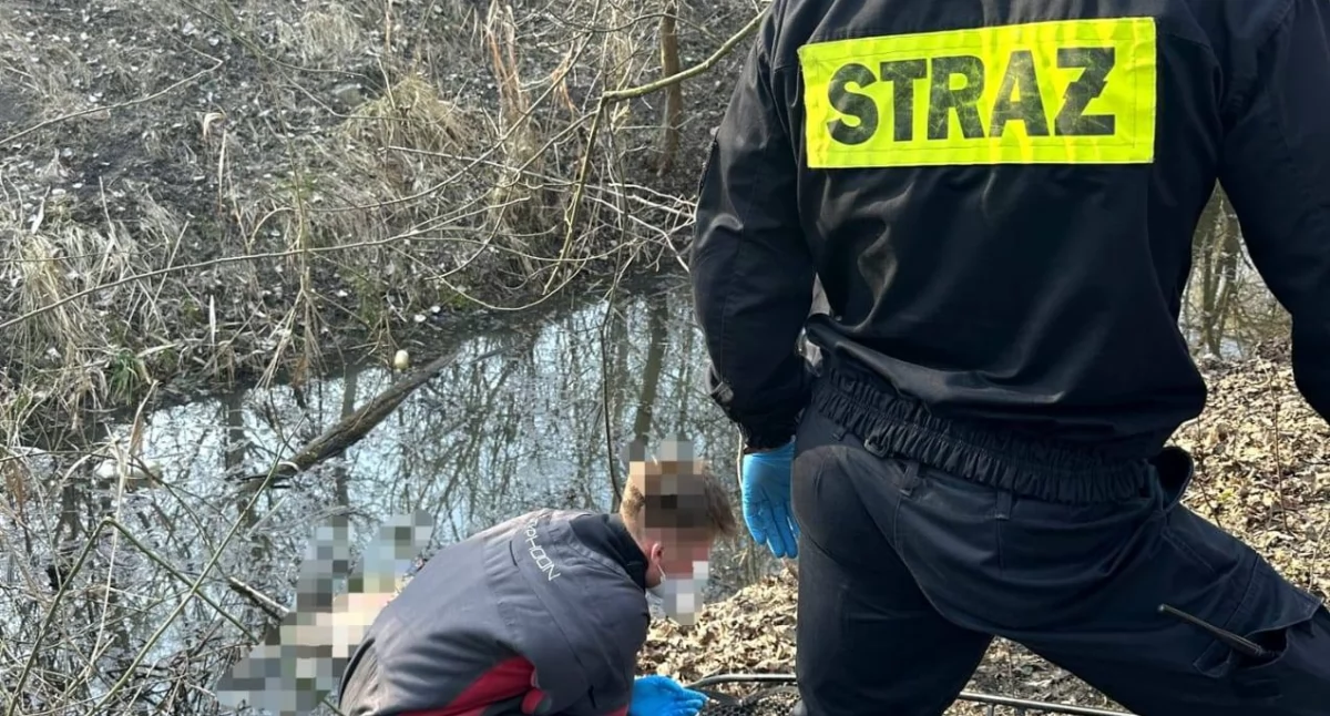FOTO-DOLNOŚLĄSKIE WOPR