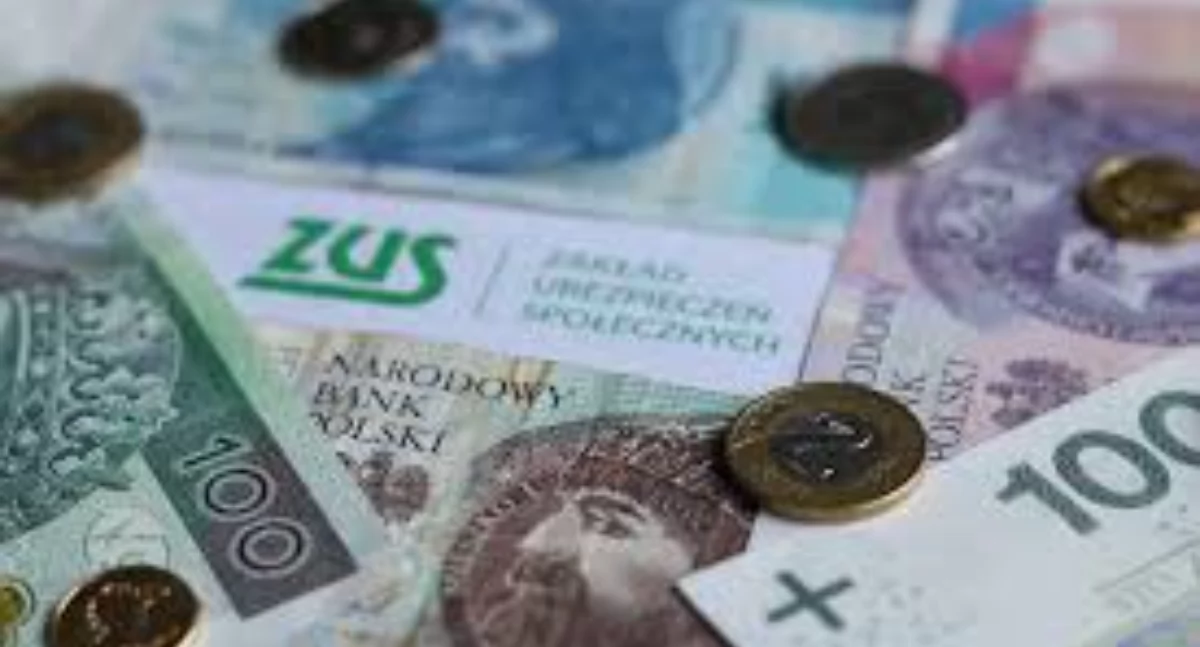 24wroclaw, Jeszcze tylko niedzieli można wystąpić pomoc - zdjęcie, fotografia
