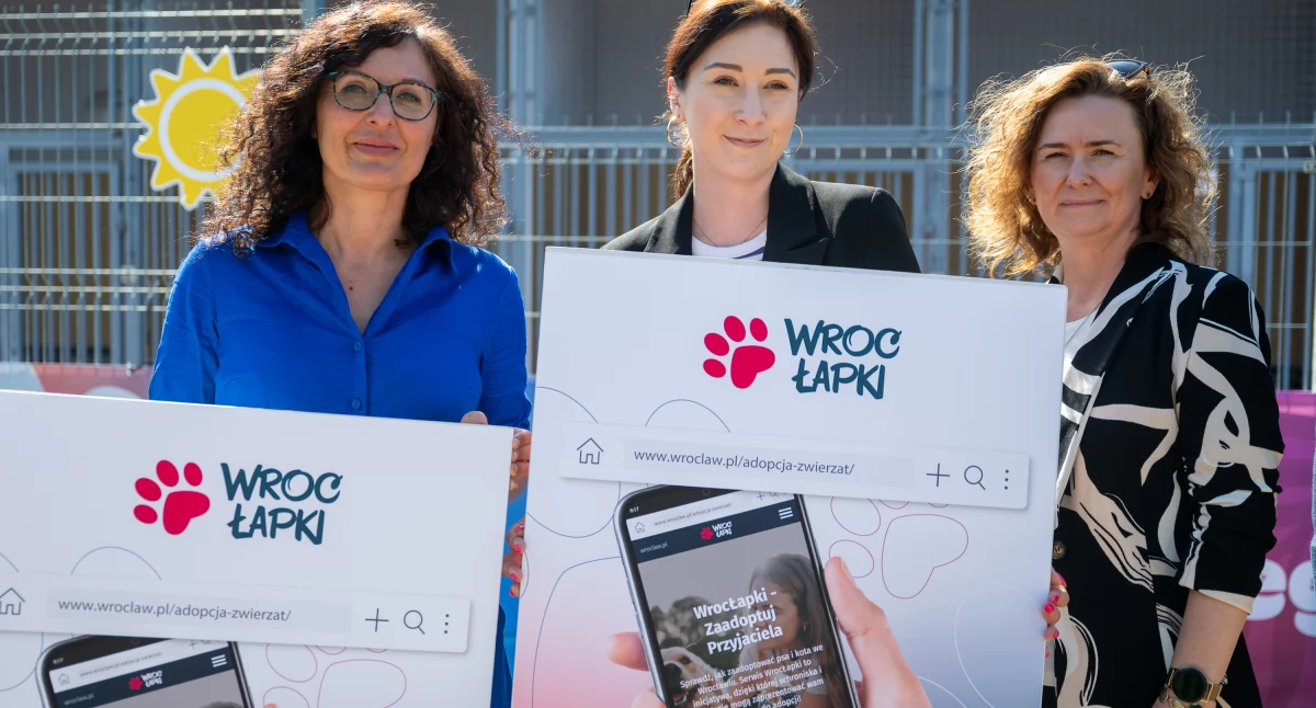 24wroclaw, Wrocław otwiera wybieg psów schronisku Ślazowej Ruszyła WrocŁapka podstrona Wrocław której znajdziemy zwierzęta przeznaczone adopcji - zdjęcie, fotografia