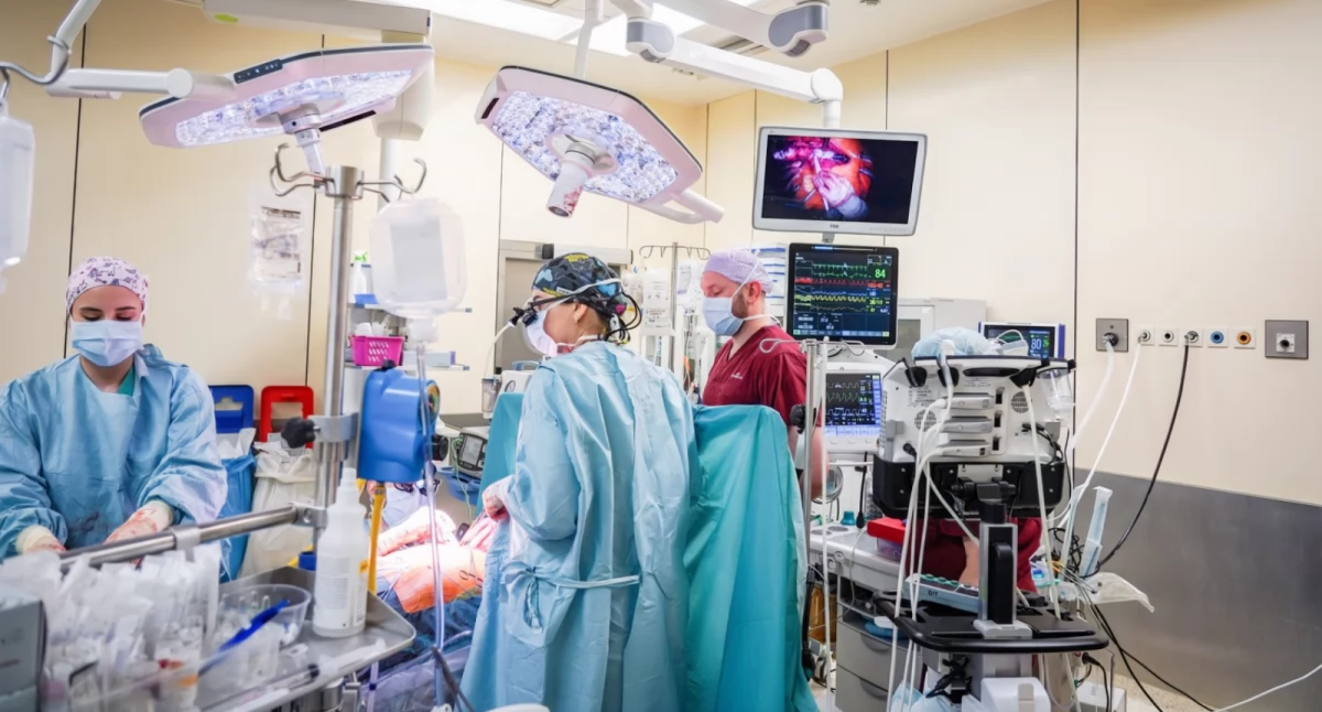 Zdrowie, Wrocław serce transplantacji przeszczepów Wrocławiu ambitne plany Instytutu Chorób Serca przyszłość - zdjęcie, fotografia