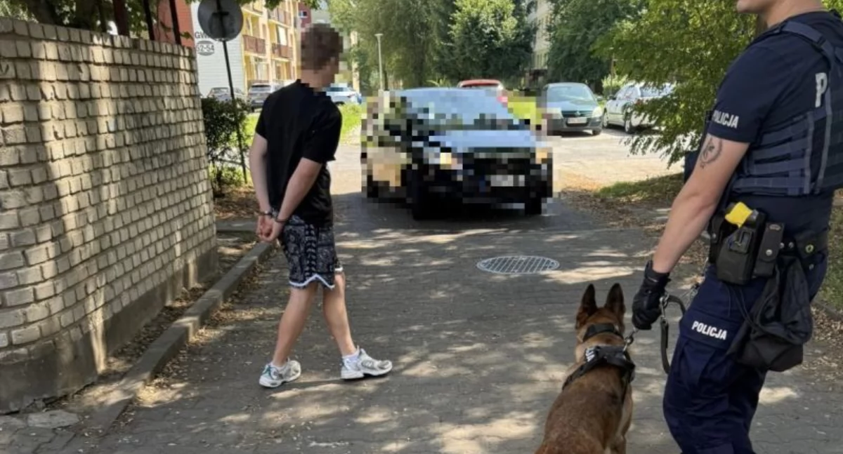 Interwencje, latek wpływem narkotyków spowodował kolizję Policyjny Rampa znalazł śmietnikach - zdjęcie, fotografia