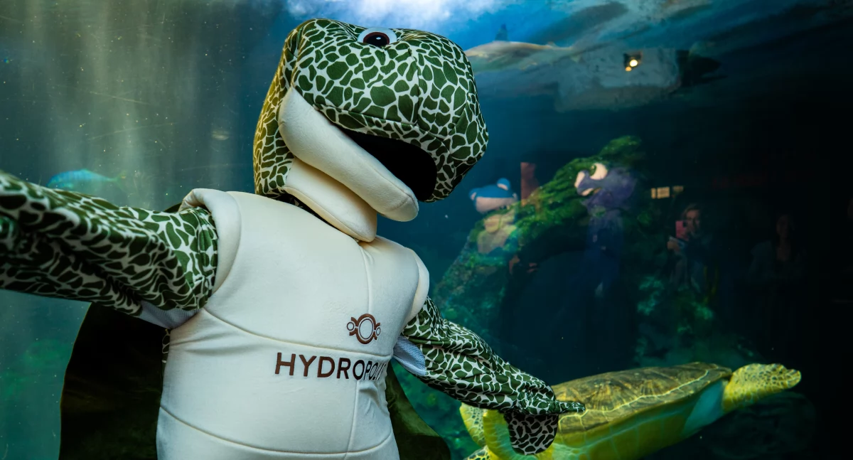 24wroclaw, darmo rodzinnym pikniku Hydropolis - zdjęcie, fotografia
