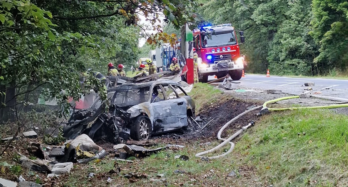 FOT. Komenda Powiatowa Państwowej Straży Pożarnej w Oleśnicy