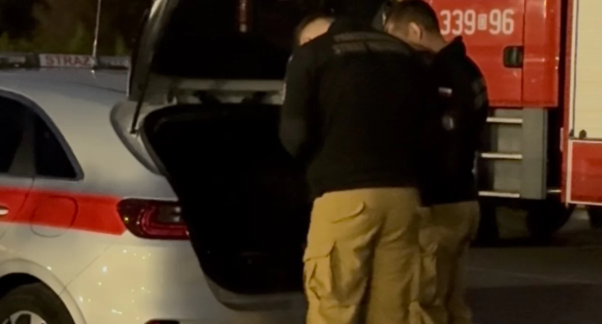 Zaginieni i Poszukiwani, Poszukiwania zaginionego mężczyzny Ślęzie akcji służby tropiący - zdjęcie, fotografia