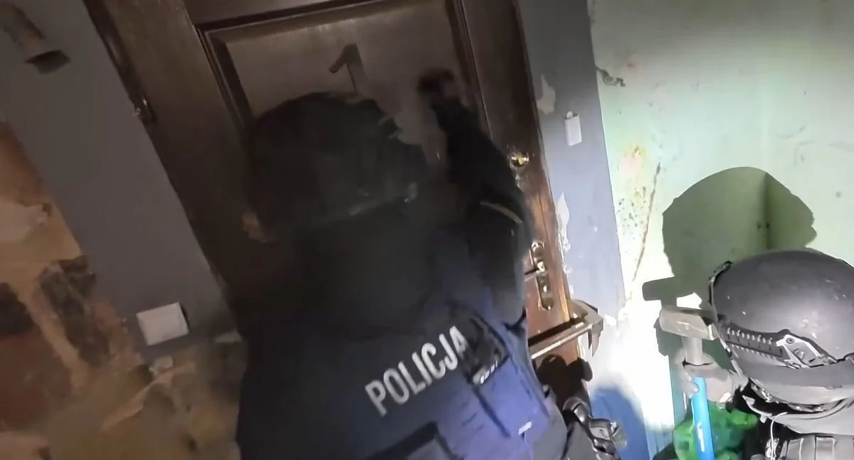 Upadek grupy pseudokibiców z Dolnego Śląska. 11 zatrzymanych, lider w rękach policji