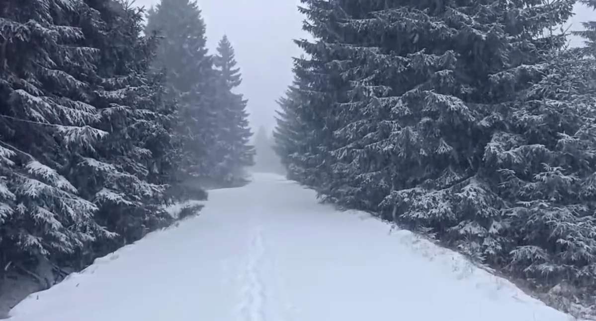Fot. kadr z filmu Karkonoskiego Parku Narodowego