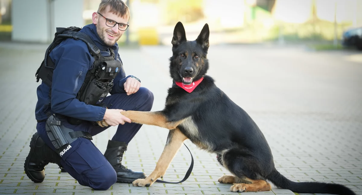 24wroclaw, Funkcjonariusz czterech łapach wyjątkową misją dawca - zdjęcie, fotografia