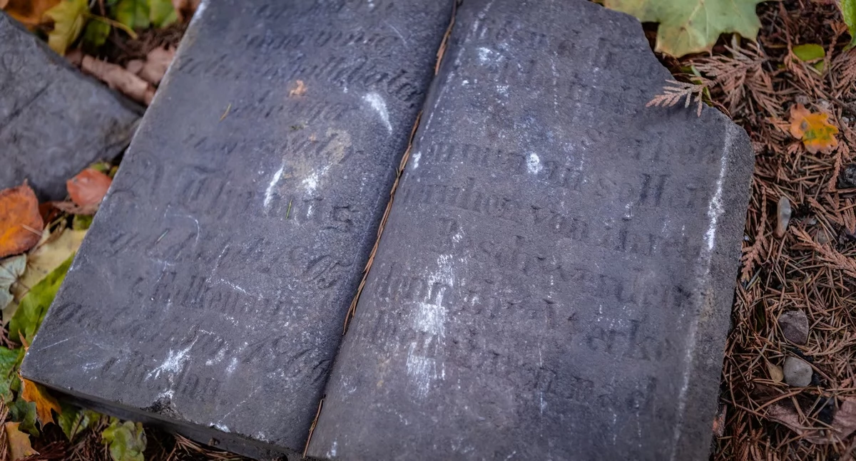 Ogród Botaniczny odkrywa tajemnice przeszłości. Pod szklarnią odkryto XIX-wieczne nagrobki i szczątki dawnych mieszkańców Wrocławia