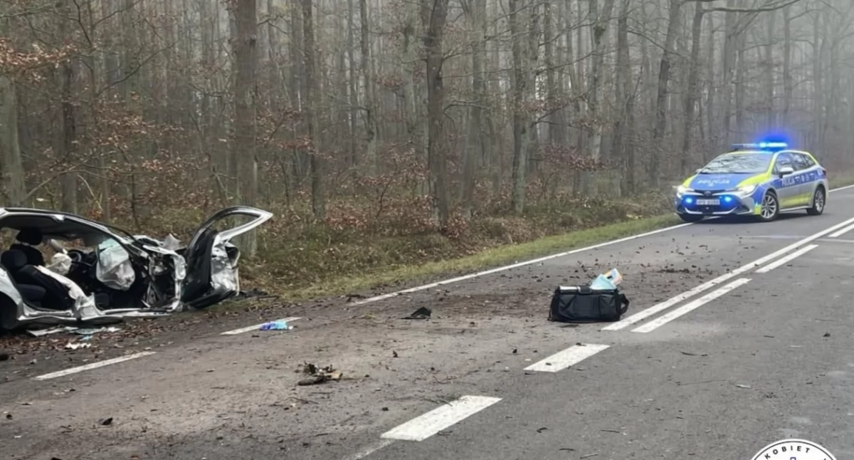 Śmiertelny wypadek na DW396 pod Oławą. 22-latek zginął po uderzeniu w drzewo