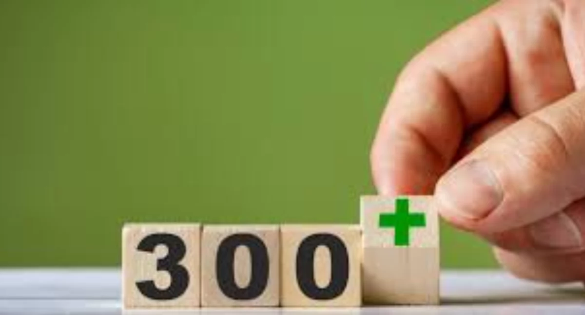 24wroclaw, Wniosek tylko listopada - zdjęcie, fotografia