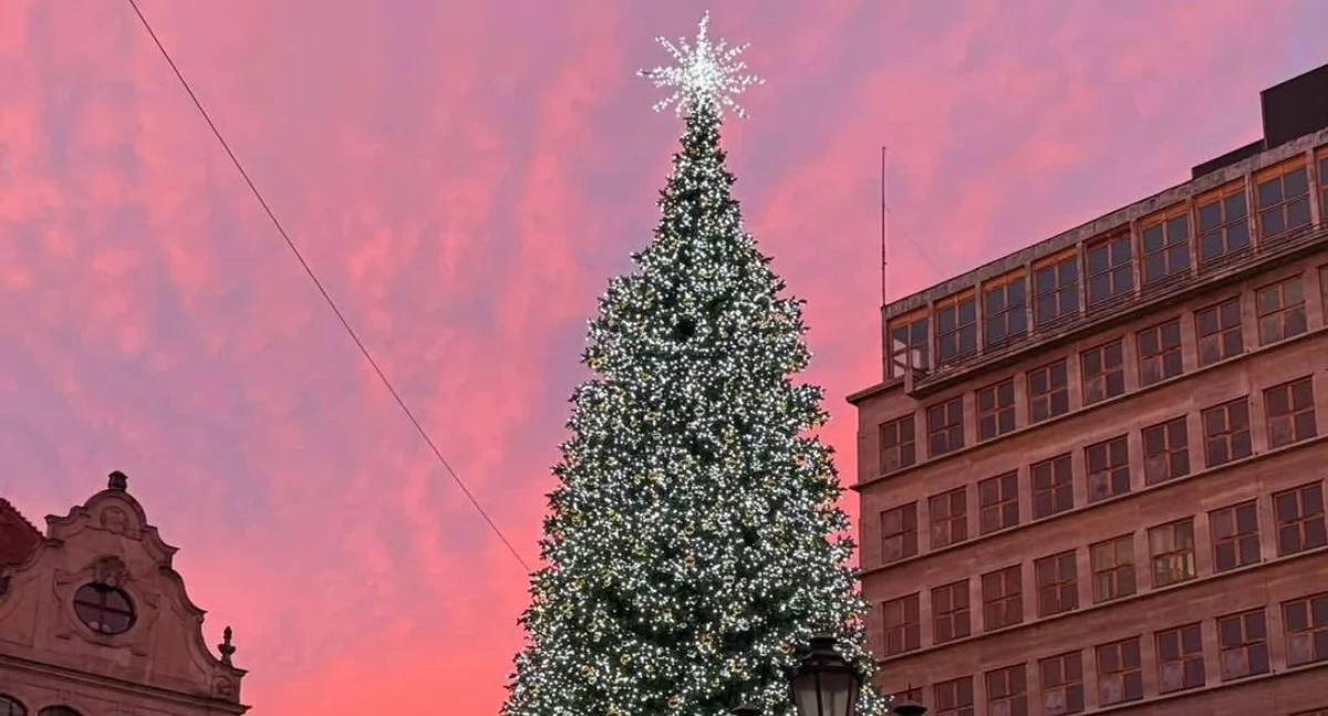 Rozświetlenie choinki we Wrocławiu. Poczuj magię Świąt na Rynku