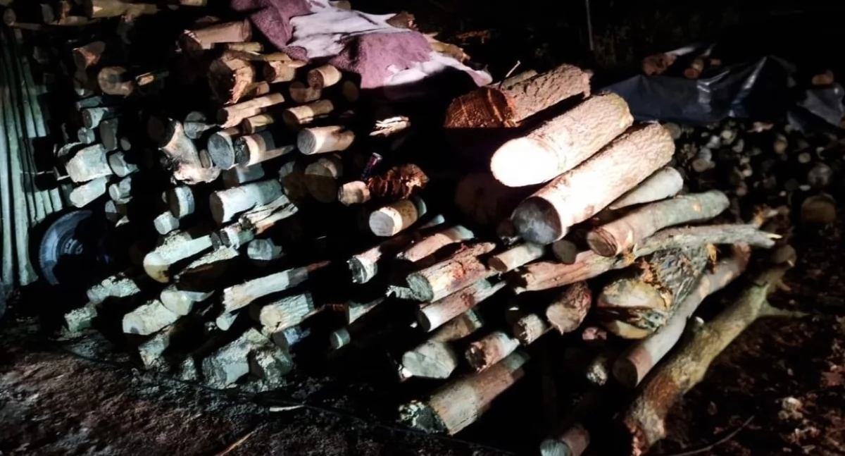 Interwencje, Przyłapani gorącym uczynku ujęci obywatelsko Zatrzymano maczetą siekierą - zdjęcie, fotografia