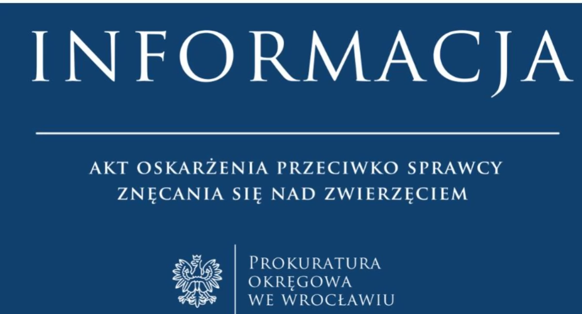 Interwencje, Wyrzucił królika klatce pierwszego piętra oskarżenia prokuratury Wrocławiu - zdjęcie, fotografia