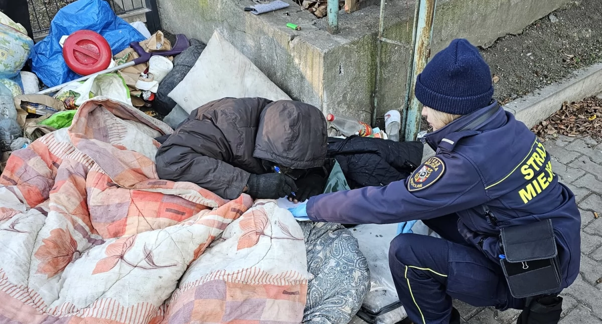 24wroclaw, ofiary mrozu stolicy Dolnego Śląska - zdjęcie, fotografia