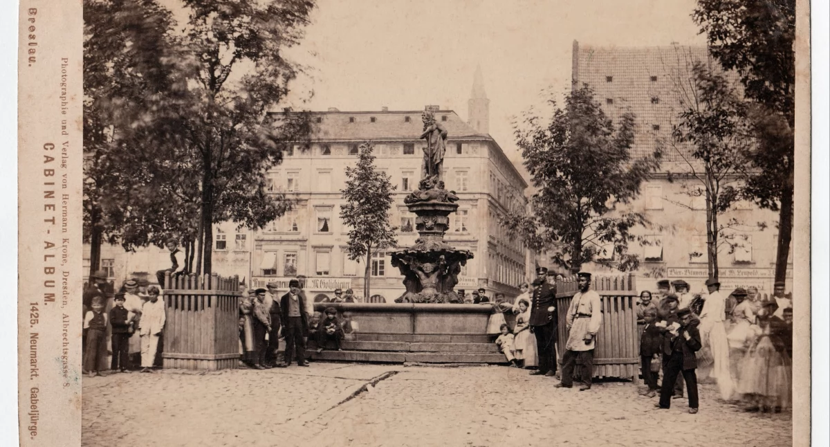 24wroclaw, Wrocław szuka głowy Neptuna Historyczna fontanna wróci - zdjęcie, fotografia