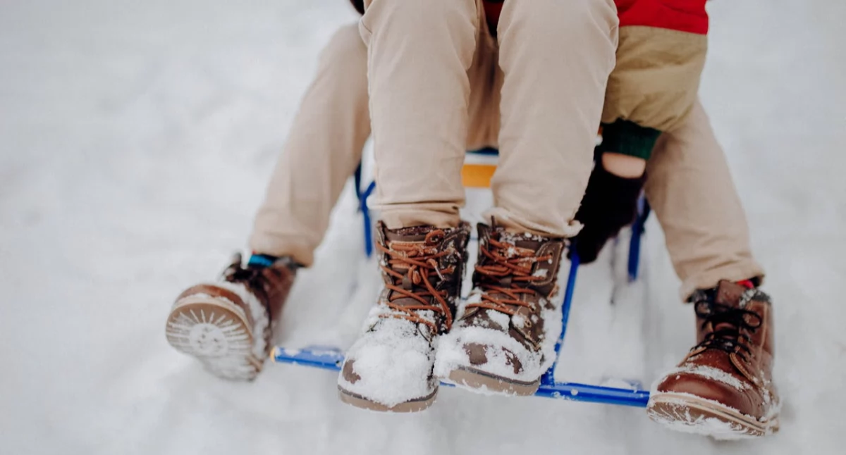 Dom i Ogród, Sanki kierownicą różnią klasycznych sanek - zdjęcie, fotografia