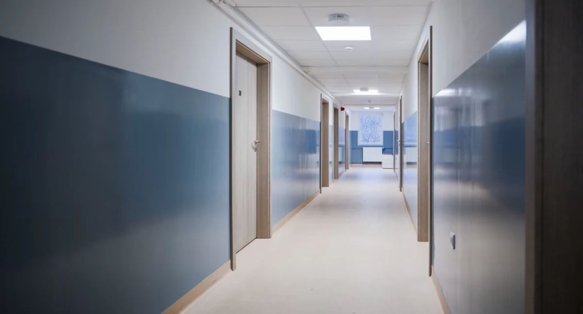 Miasto, tylko schronisko Bogedaina Wrocławiu powstało miejsce prawdziwej opieki - zdjęcie, fotografia