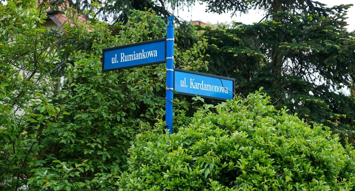 24wroclaw, kanalizacja Żernikach Ruszyła inwestycja MPWiK Wrocław - zdjęcie, fotografia