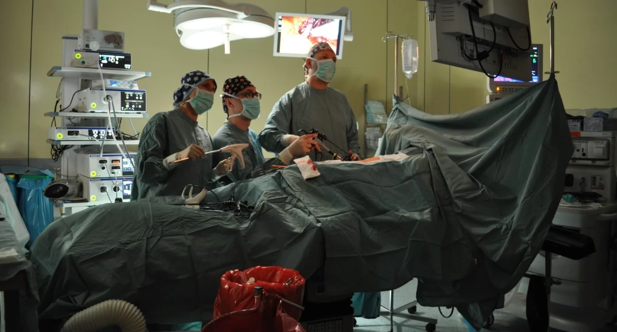 24wroclaw, pierwszej transplantacji nerki żywego dawcy Wrocławiu liderem transplantologii Dolnym Śląsku - zdjęcie, fotografia