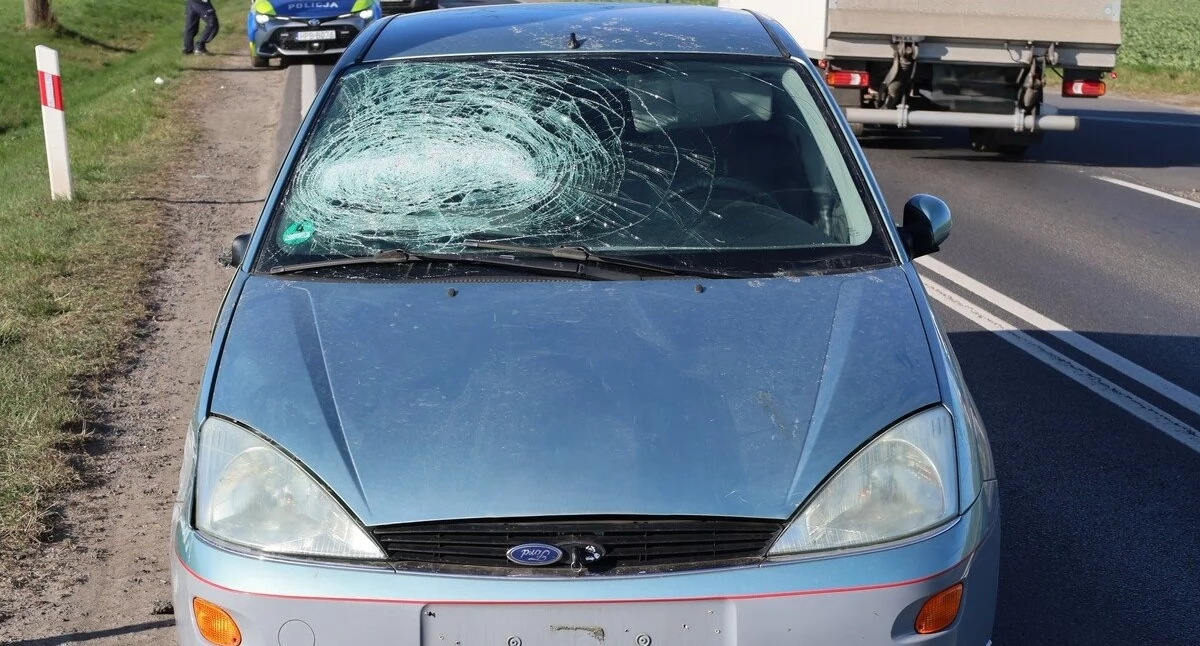 Interwencje, Szokujące wyznanie pijanego latka doprowadzeniu kolizji przyznał funkcjonariuszom ciągle bierze narkotyki - zdjęcie, fotografia