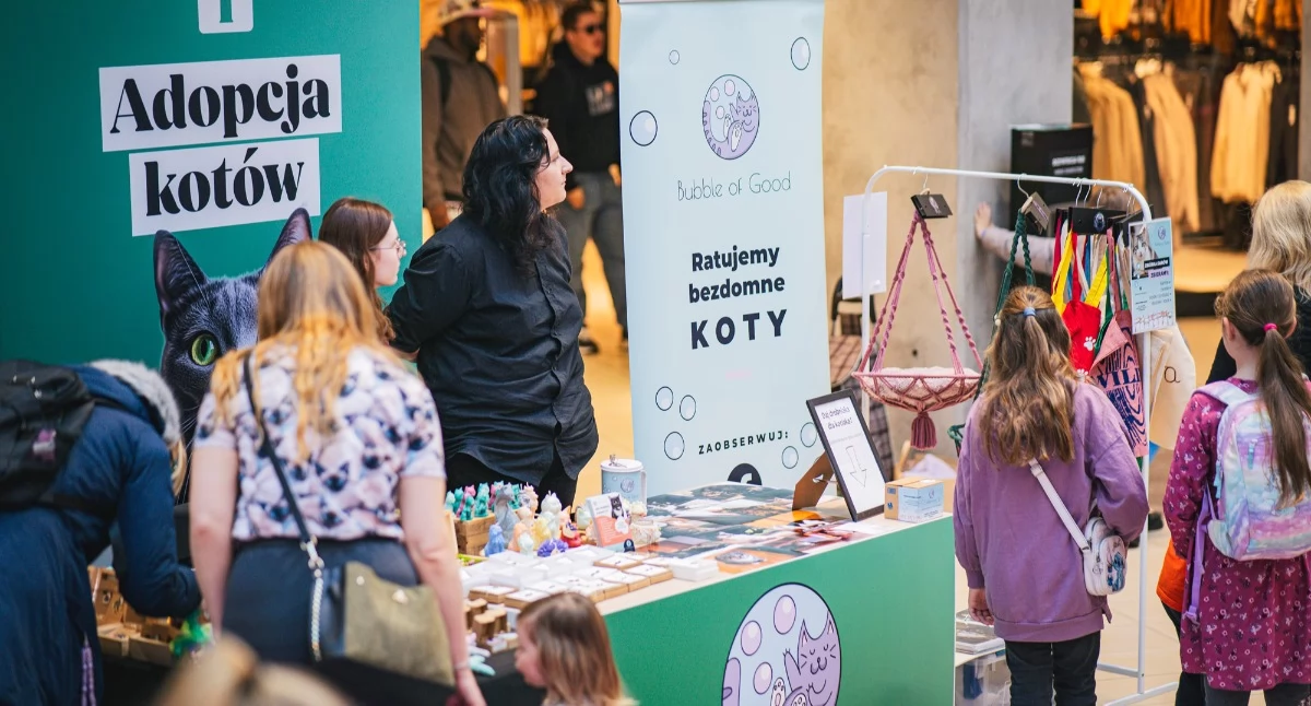 24wroclaw, Pasaż Grunwaldzki zamruczy wiosnę Pokaz kotów rasowych strefa adopcji kwietnia - zdjęcie, fotografia