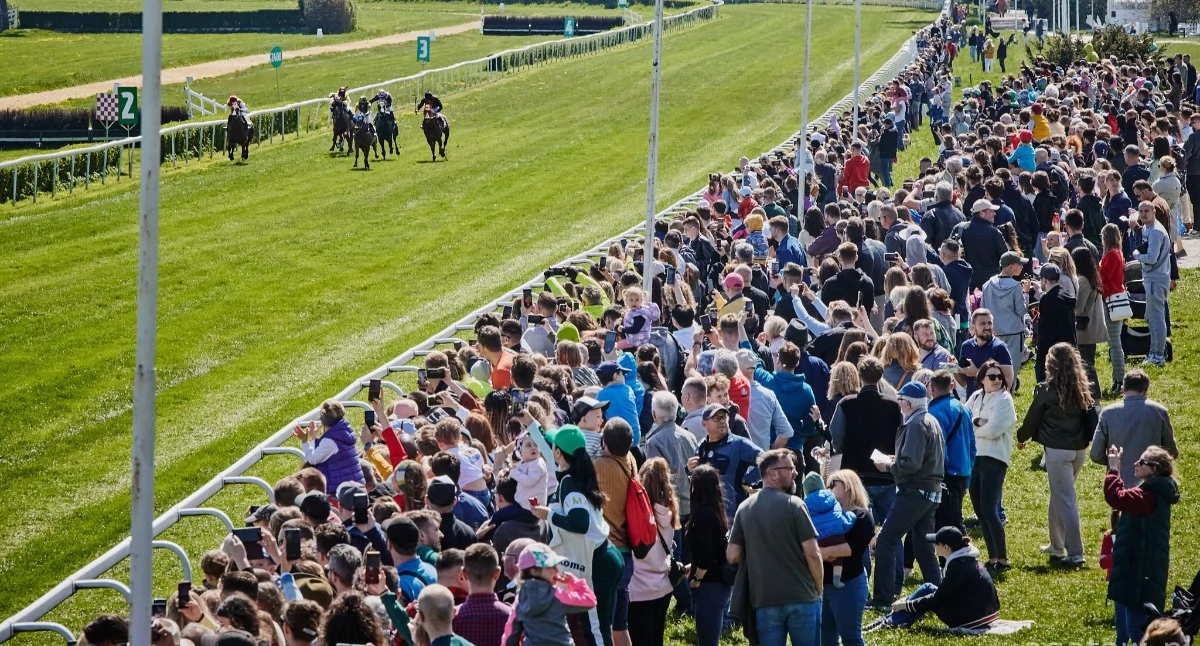 24wroclaw, Majówka Partynicach Wyścigi konne atrakcji całych rodzin - zdjęcie, fotografia