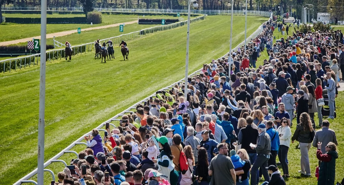 24wroclaw, Wielka Majówka Partynicach tysięcy osób zmiany dojeździe specjalna komunikacja uczestników - zdjęcie, fotografia