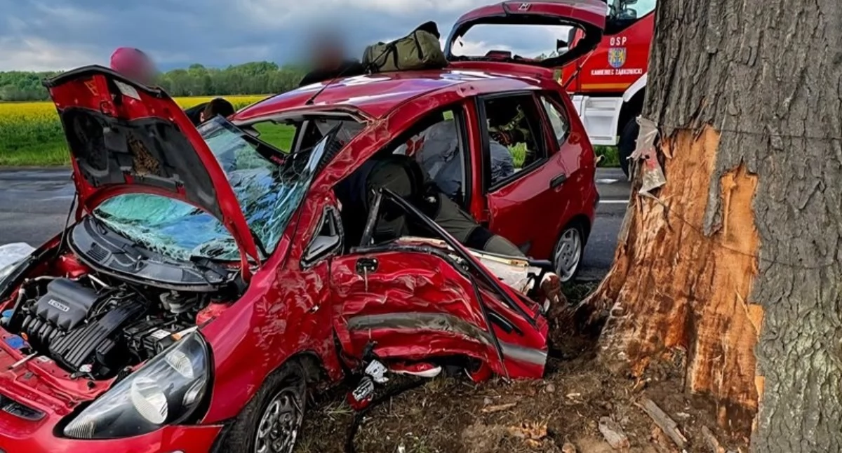 Wypadki drogowe, Mandat ostudził brawury Młody kierowca kilka minut kontroli roztrzaskał drzewo - zdjęcie, fotografia