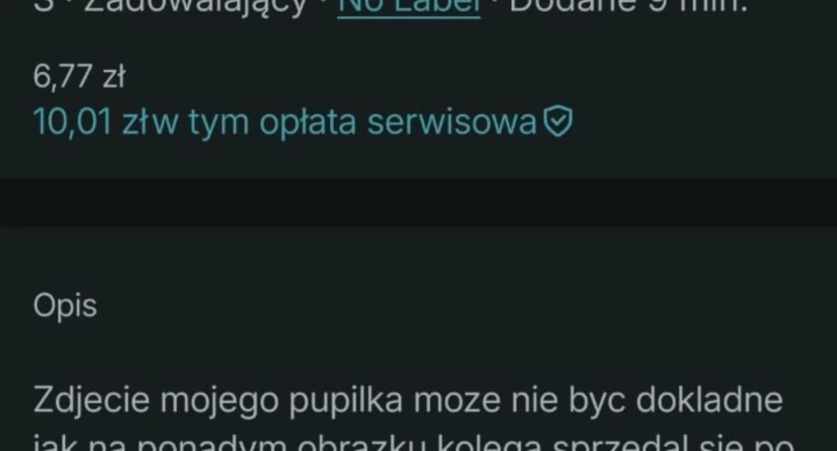 24wroclaw, Kupię sprzedam wyśmieję Dzieci wyceniają wystawiają rówieśników sprzedaż Szokująca twarz cyberprzemocy - zdjęcie, fotografia