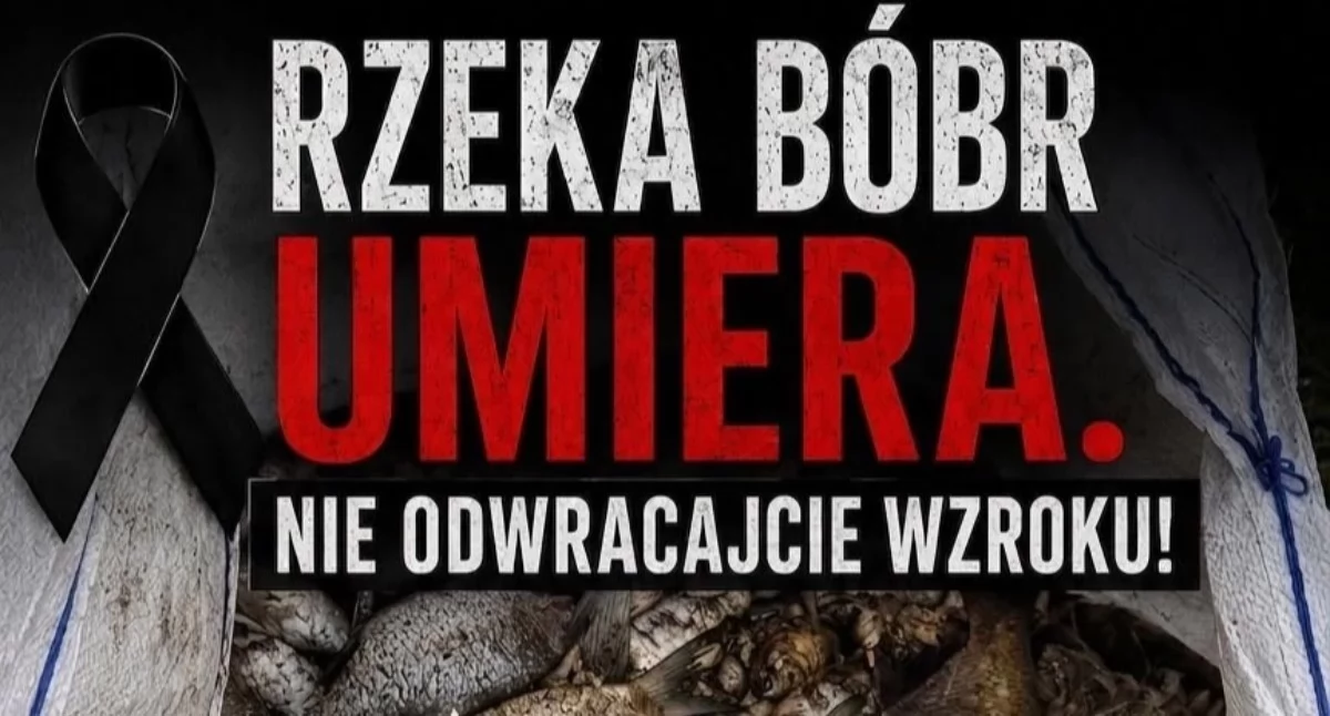 Ratujmy rzekę Bóbr, zanim będzie za późno. Protest w Kaczorowie może utrudnić przejazd trasą Wrocław – Jelenia Góra