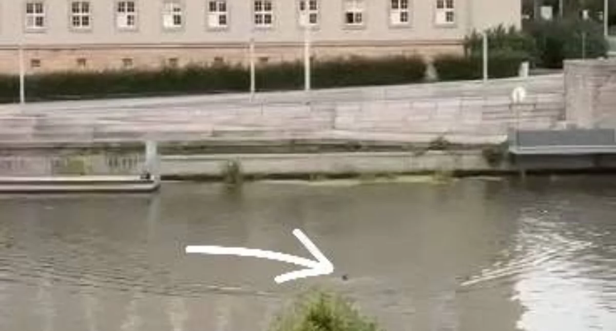 PŁYNĄŁ ODRĄ POD URZĘDEM WOJEWÓDZKIM. NA MIEJSCE RUSZYŁY SŁUŻBY
