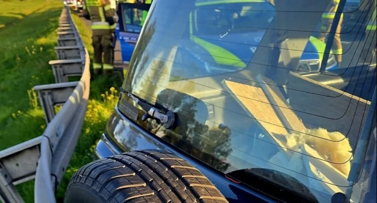 Ukradł auto, a później wsiadł za kierownicę mając ponad 2,5 promila. Hondę rozbiła się na A4