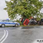 Fotka nr 2 z 4