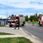 zdjęcie nr 16