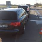 Fotka nr 5 z 6