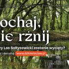 zdjęcie nr 30