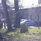 Fotka nr 5 z 10