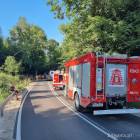 Fotka nr 2 z 16