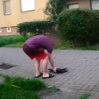 Fotka nr 3 z 4