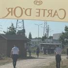 zdjęcie nr 9