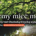 zdjęcie nr 23