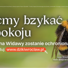 zdjęcie nr 29