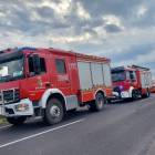 Fotka nr 2 z 4